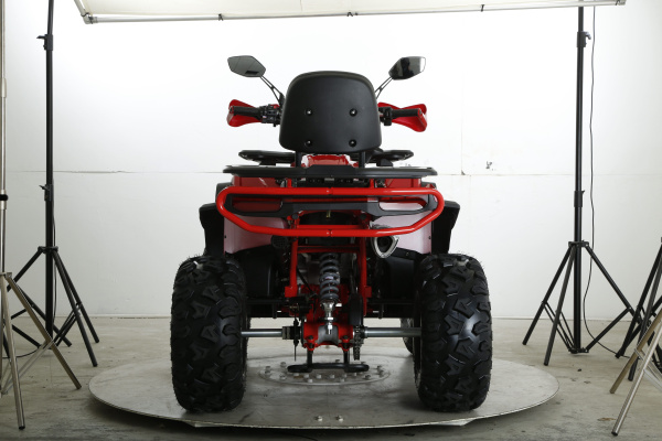 Квадроцикл FXMOTO (ФХмото) WASP 250 зелёный (машинокомплект) - купить с доставкой, цены в интернет-магазине Мототека